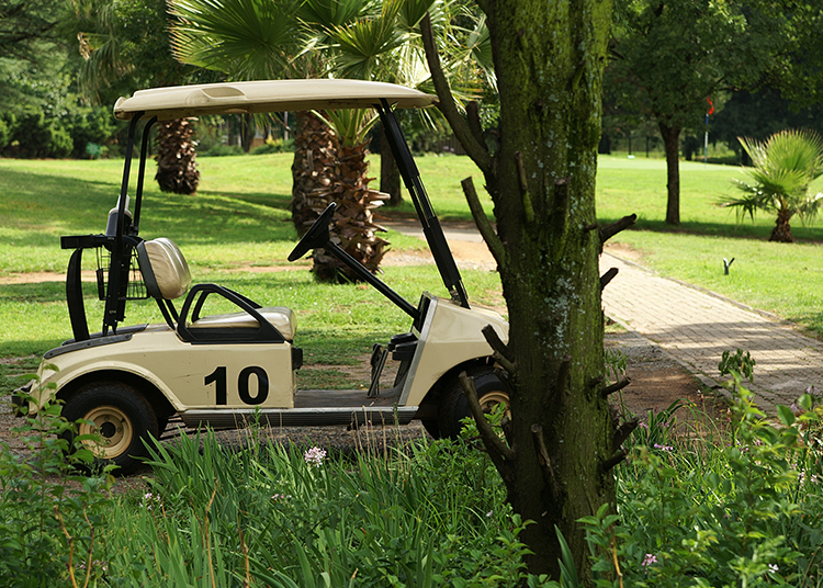 Golf Arabaları